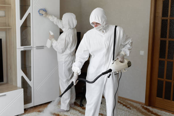 Health and Safety Mold Remediation